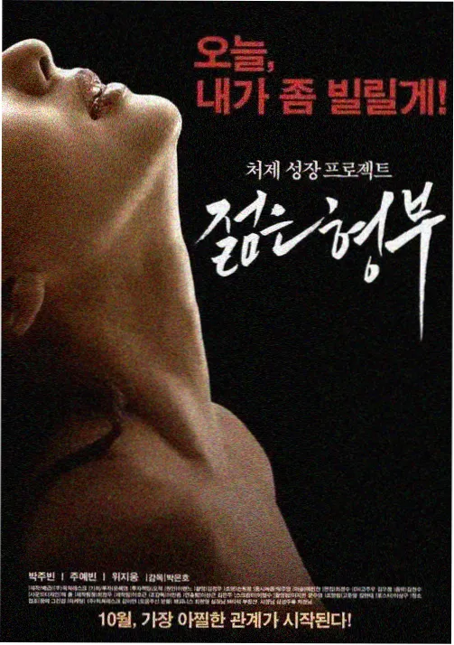老男孩 2003 韩国电影 海报